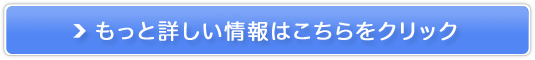 X^[IuUJ[̔TCg